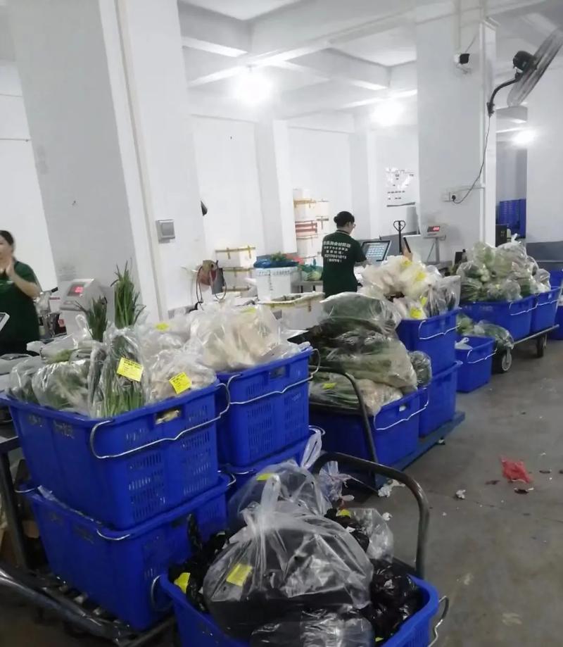 冷冻食品行业新趋势：快速与健康并重