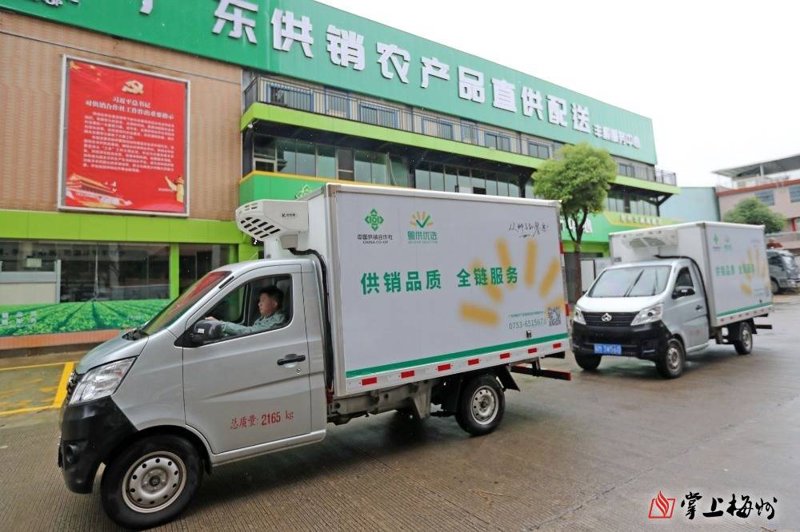 生鲜电商行业：一场关乎新鲜与便捷的变革